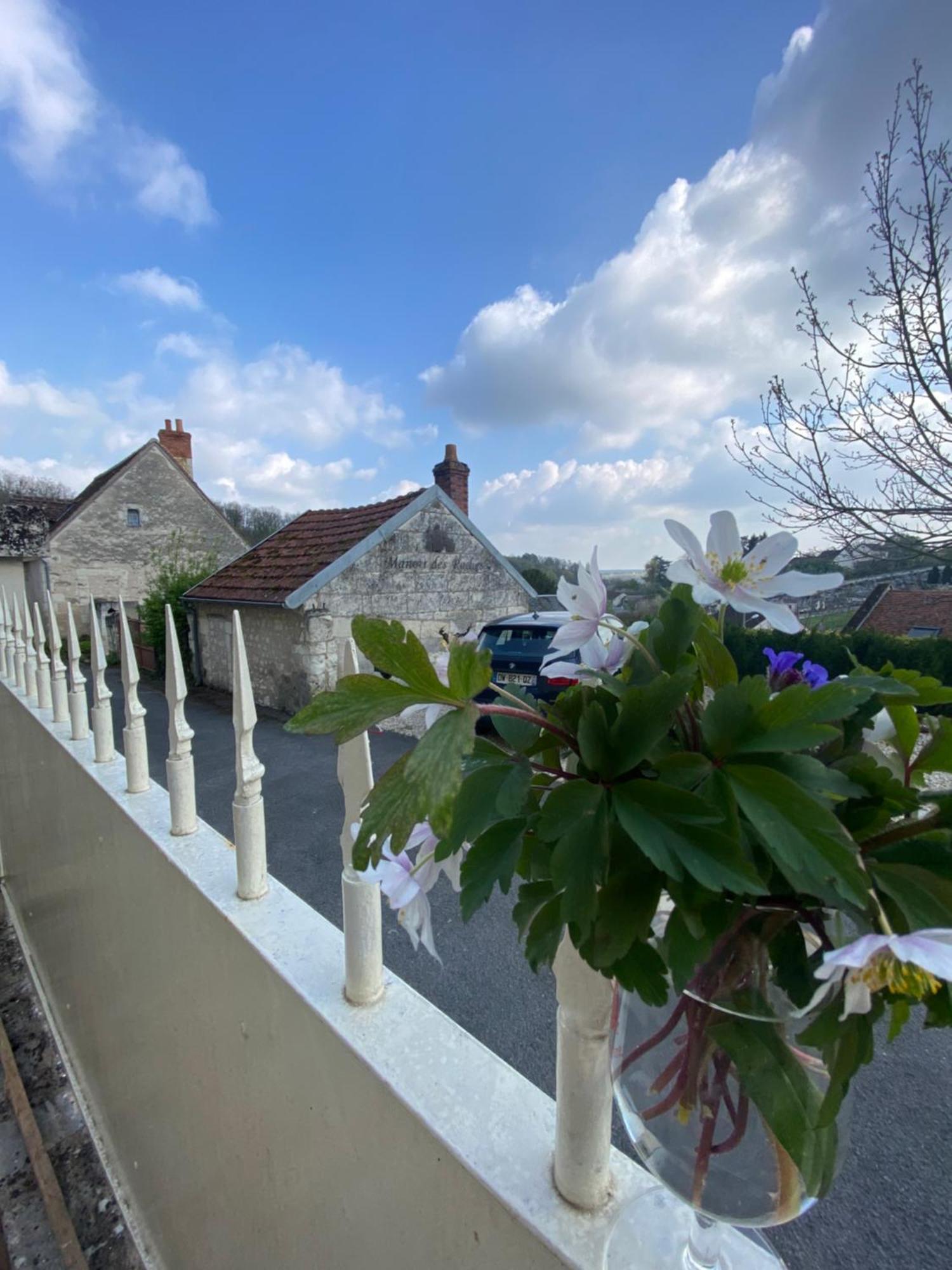 Bed and Breakfast Le Manoir Des Roches Bourre Екстер'єр фото